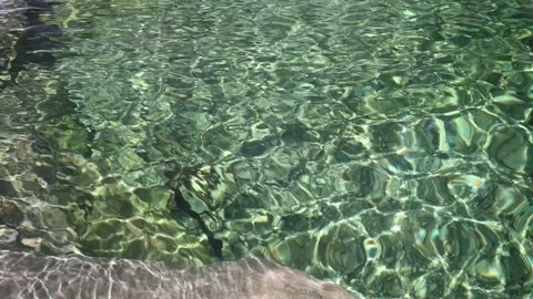 Waves and sunlight effects in summer (slow motion) Stock-Footage 219650054