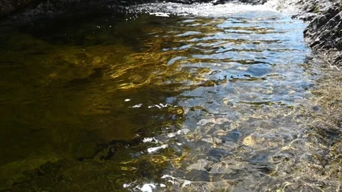 Waves and sunlight reflections on a pool from a mountain stream (slow motion) 스톡 동영상 219649232