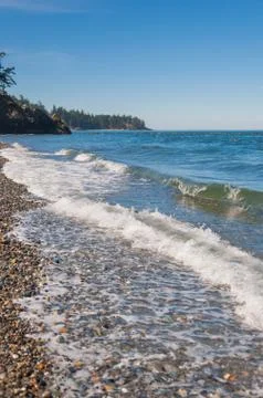 Waves and trees Stock Photos