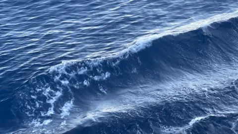 Waves and Wake in the Sea Stock Footage 316836036