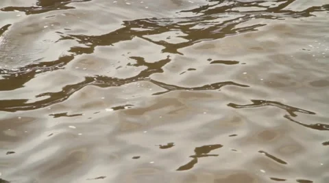 Waves and water reflections in the pond Stock Footage 52824721