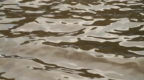 Waves and water reflections in the pond Stock Footage 52824739