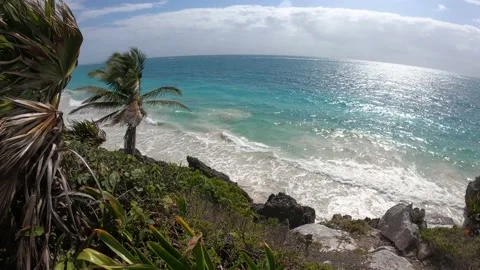 Waves and a wild beach in Tulum, Mexico Stock Footage 196818654