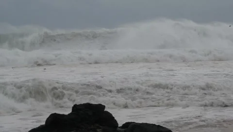 Waves and wind on a beach Stock Footage 311875038