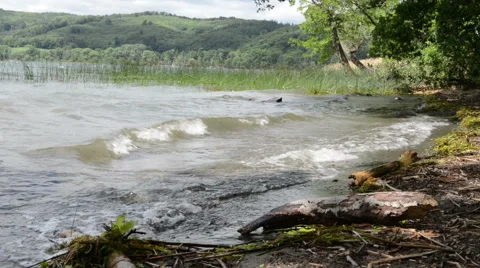 Waves and wind at Laach Lake (Eifel Region) 스톡 동영상 40488171