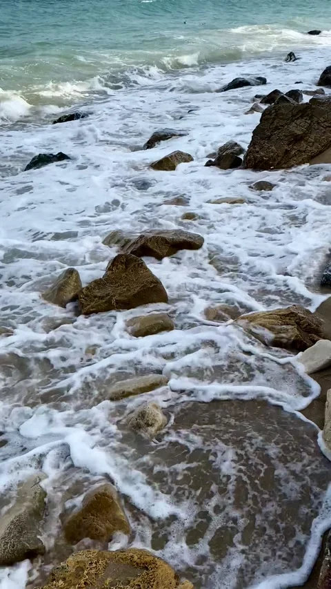 The waves are beating against the rocks on the seashore. Golden Sands, Bulgaria. Video stock 343343072