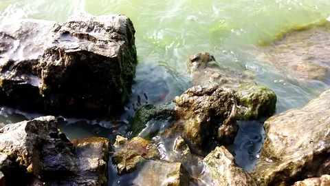 Waves are beating against stones Stock Footage 79306761