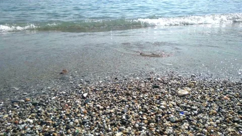 Waves are beating the shore on the beach on the sea Stock-Footage 140458478