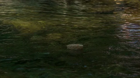 Waves are pushing a tiny small object across the river 스톡 동영상 116960911