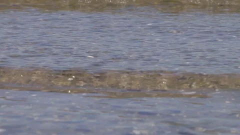 Waves are small on the beach Stock Footage 78138682