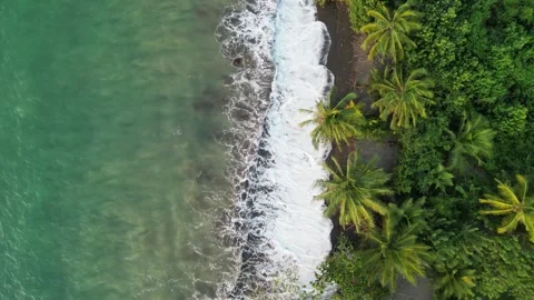 Waves are splashing on the beach Playa Mecana in the Chocó department on Stock-Footage 271610834
