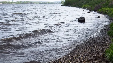 Waves are washing logs on the shore of the reservoir. Stock Footage 91352845