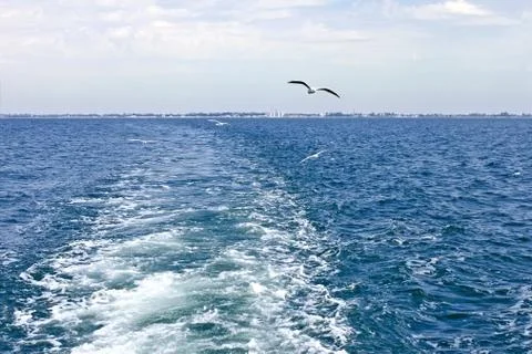 Waves astern a boat Stock Photos