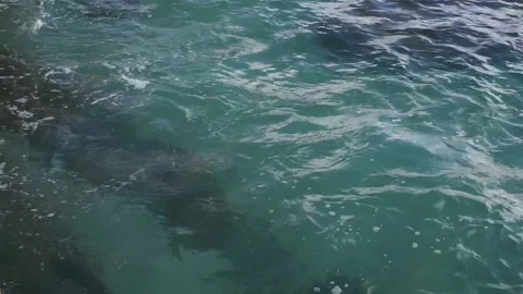 Waves in Atlantic ocean Stock Footage 161121359