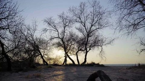 The waves of the Azov sea roll on a sandy shore 库存影片 128191282