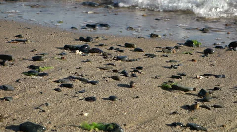 Waves at the beach. 1/2X Slow Motion. Video stock 24974100