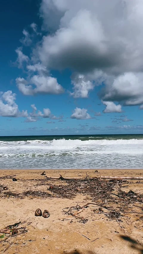 Waves on the beach, beach day, waves, tropical, sandy, tropics Stock Footage 233744564