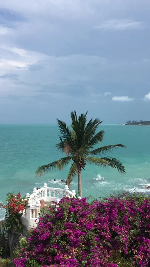 Waves On The Beach With Coconut Trees Stock Footage 244313585
