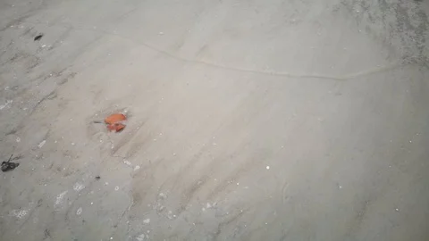 Waves On The Beach At Dusk. Stock Footage 99820788