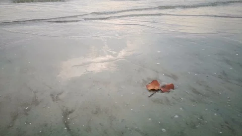 Waves On The Beach At Dusk. Stock Footage 99820905