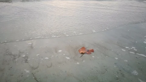 Waves On The Beach At Dusk. Stock Footage 99820976