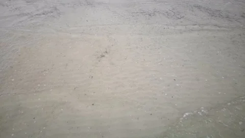 Waves On The Beach At Dusk. Stock Footage 99821016