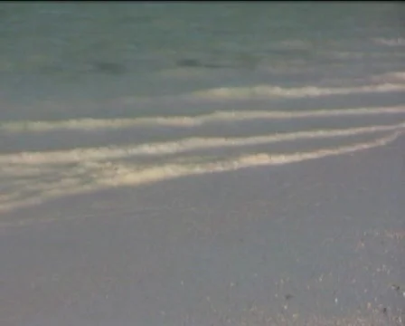 Waves in beach   Video stock 557815