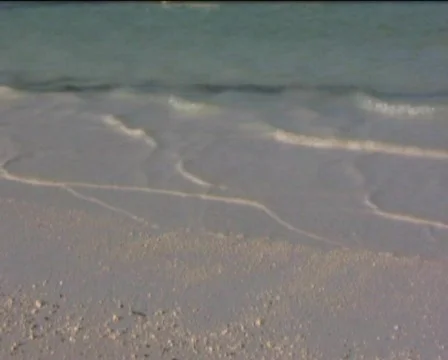 Waves in beach   Stock Footage 557827
