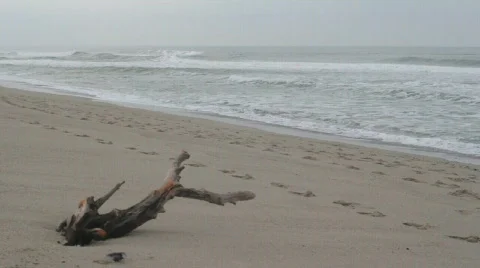 Waves at beach 動画素材 629155