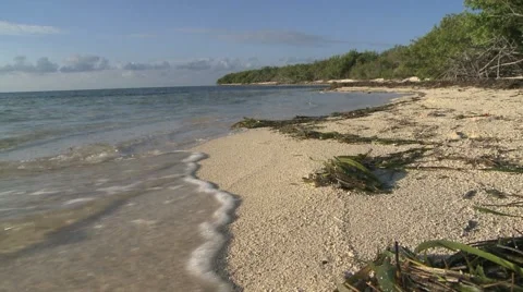 Waves on Beach Stock-Footage 2870829