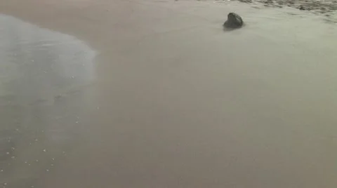 Waves on the Beach Vídeo Stock 7135771