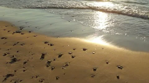 Waves on the beach Stock Footage 10577879