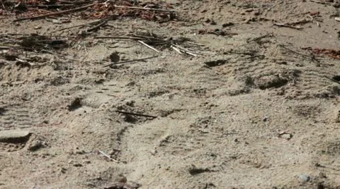 Waves On The Beach Stock Footage 11058643