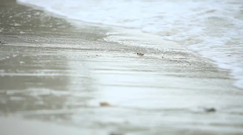 Waves on the beach Video stock 31830255