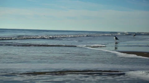 Waves on Beach Stock Footage 32713568