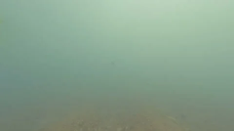 Waves on the beach 스톡 동영상 40670627