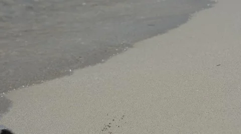 The waves on the beach 스톡 동영상 64939994