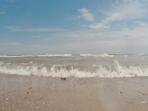 Waves on the beach 動画素材 79074513