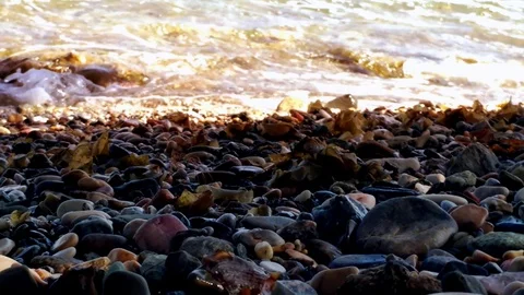 Waves on Beach Stock Footage 111522698
