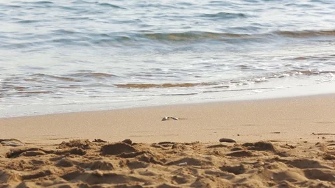 Waves on beach Stock Footage 112188334