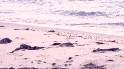 Waves on beach Stock Footage 135990398