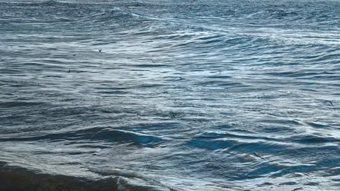 Waves at the Beach Stock Footage 142766274