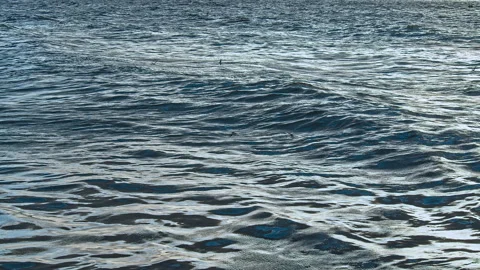 Waves at the Beach Stock Footage 142768982
