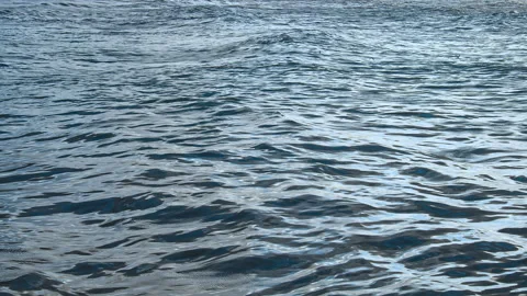 Waves at the Beach Stock Footage 142769811