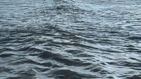 Waves at the Beach Stock Footage 142774618
