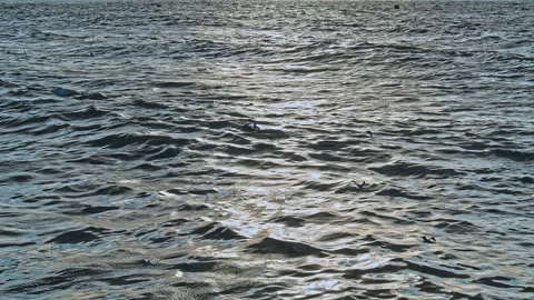 Waves at the Beach Stock Footage 142778948