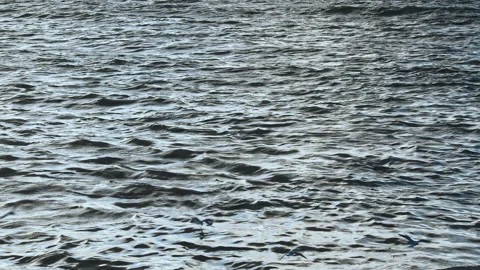 Waves at the Beach Stock Footage 142781955
