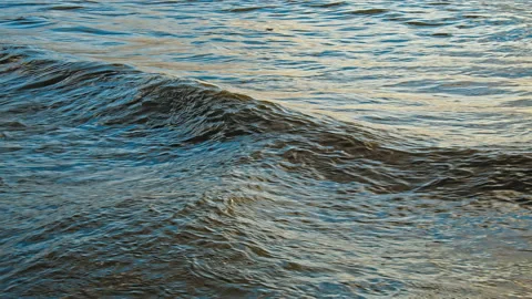 Waves at the Beach Stock Footage 142813603