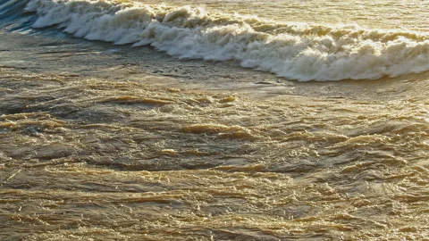 Waves at the Beach Stock Footage 142834981