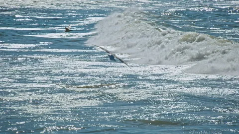 Waves at the Beach Stock Footage 142882034